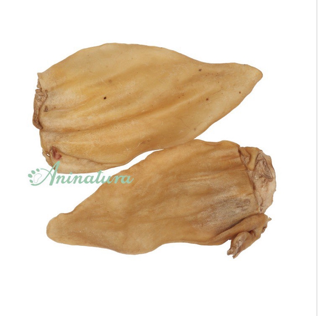 92c6f4e5 e532 427f b426 d610a25acf75