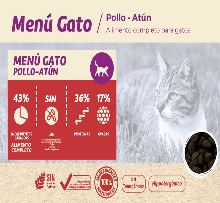 Vitaly Gato1 fotor 2025092212511