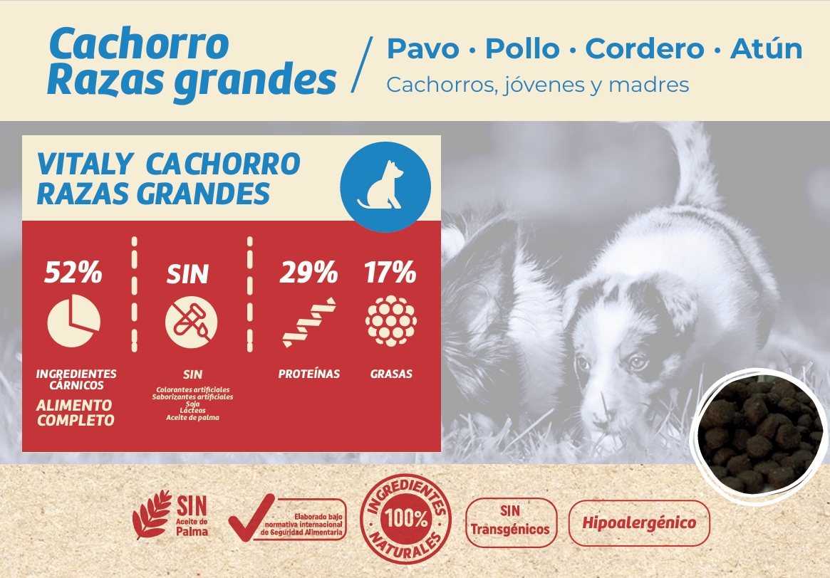 Vitaly RazasGrandes1