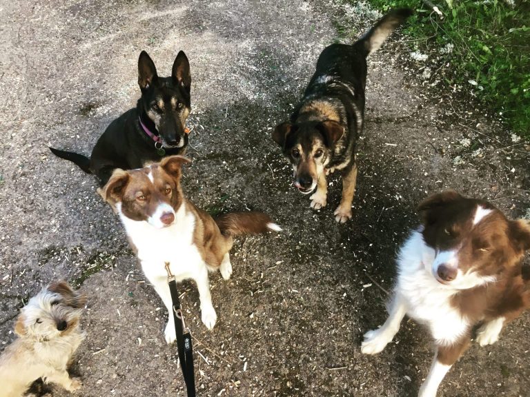 2020 03 02 17.59.06 scaled 2